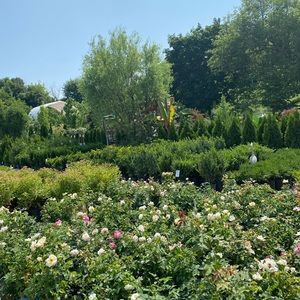 Meet your Posher, Tenzin